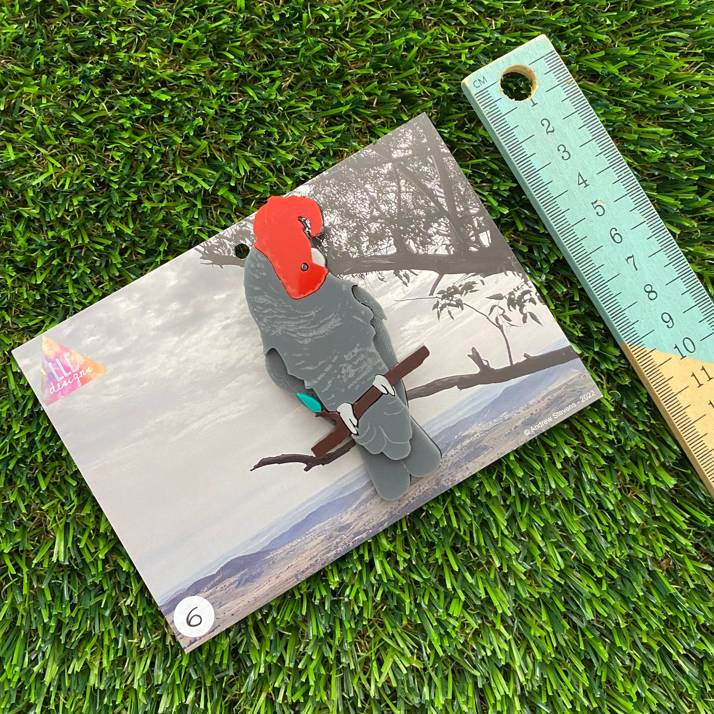 Gang Gang Cockatoo Brooch - Imperfect Sale #6 - Detailed Hand Painted Acrylic Bird Brooch.