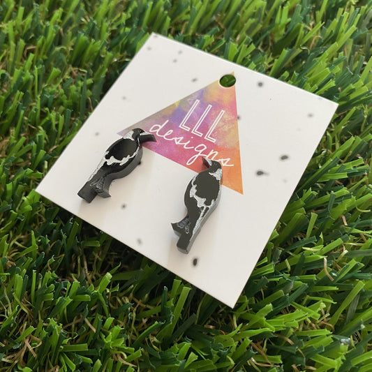 Native Bird Studs - Magnificent Magpie Hand Painted Stud Earrings on Acrylic.