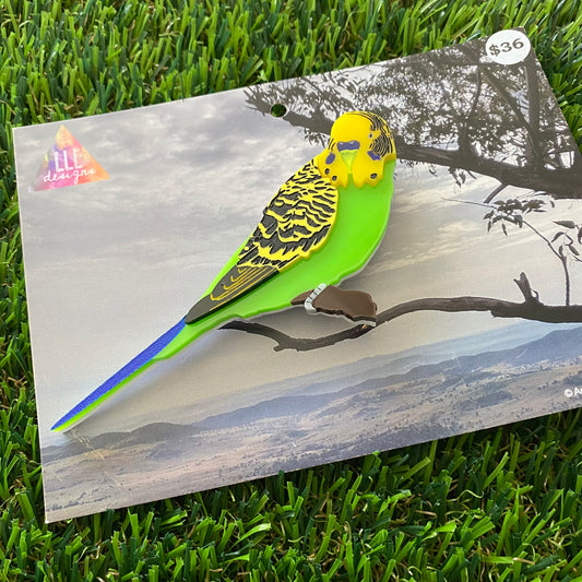 Budgerigar Brooch - Detailed Hand Painted Acrylic Bird Brooch.