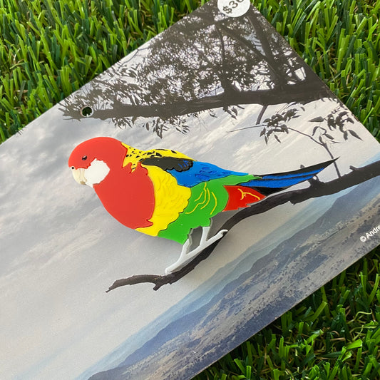 Eastern Rosella Brooch - Detailed Hand Painted Acrylic Bird Brooch.