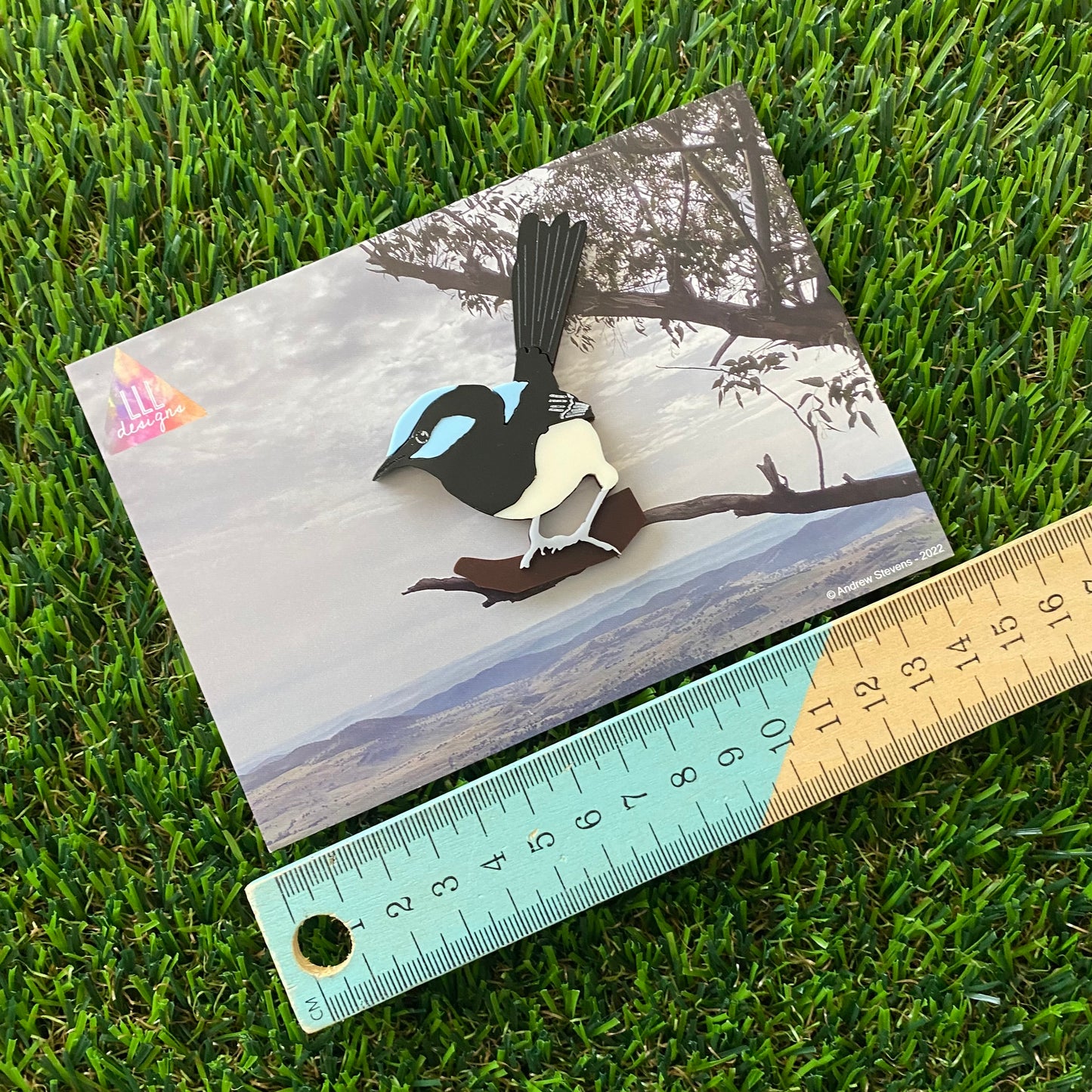 Wren Brooch - Detailed Hand Painted Acrylic Bird Brooch.