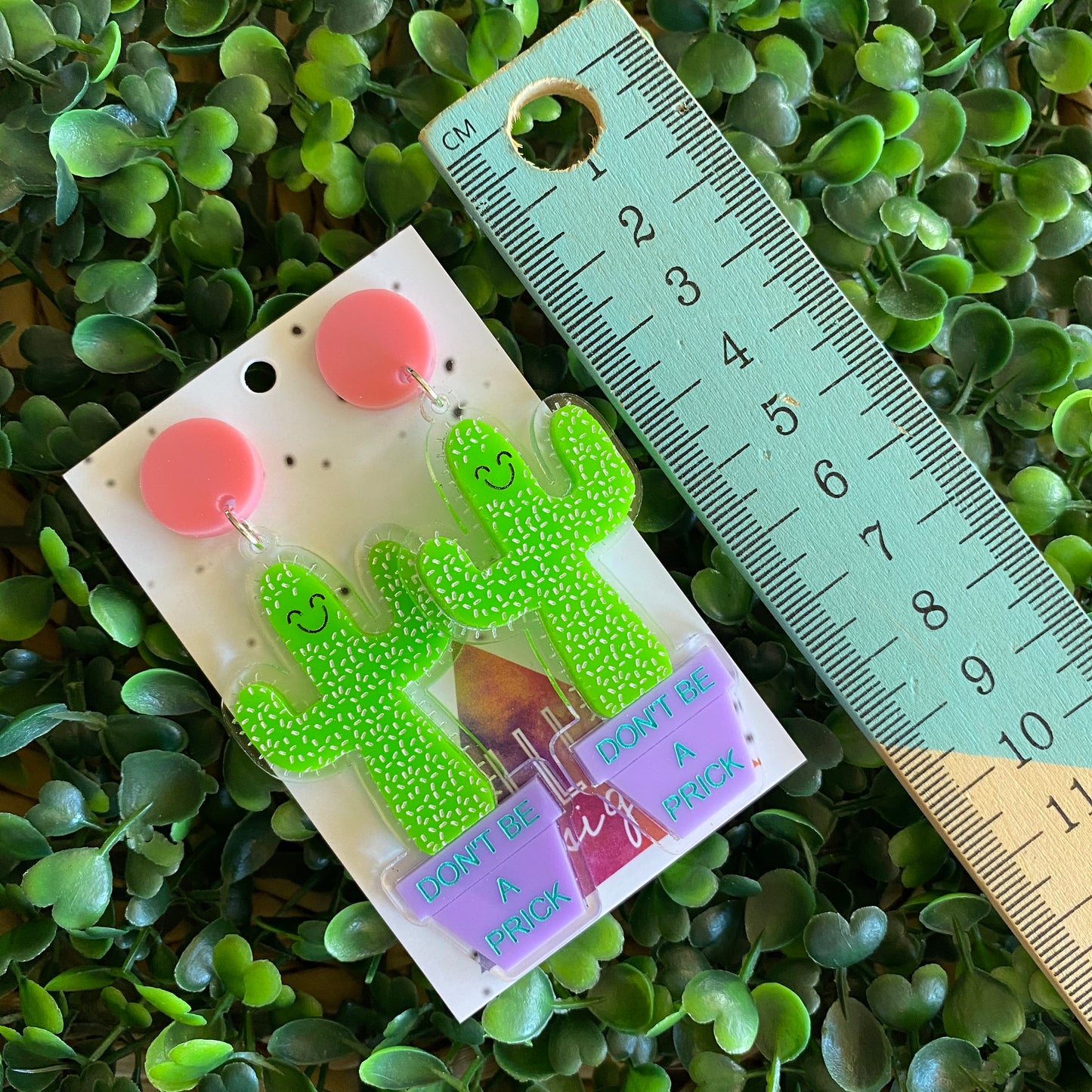 Don't be a Prick Cactus Dangles :) These Cheeky little Guys will Absolutely put a Smile on your dial!