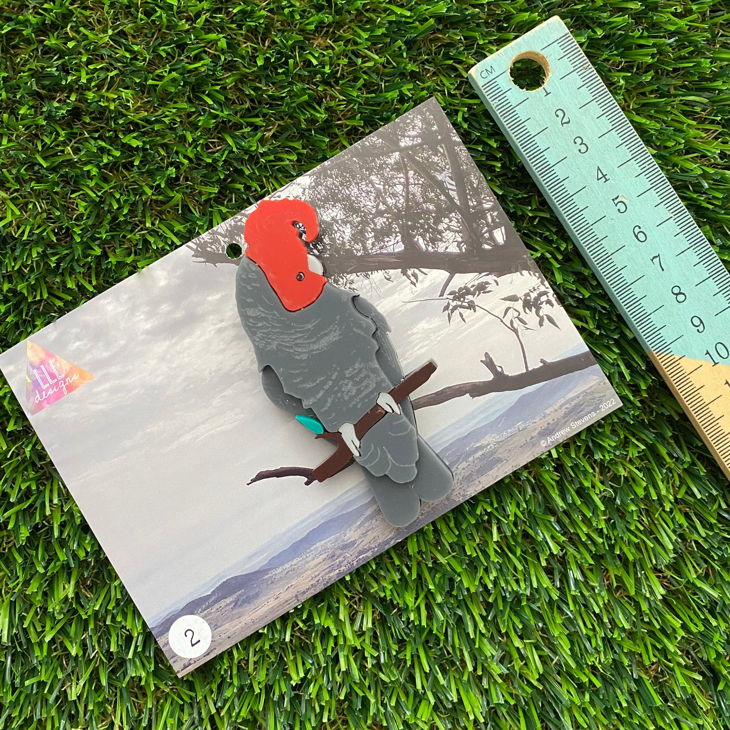Gang Gang Cockatoo Brooch - Imperfect Sale #2 - Detailed Hand Painted Acrylic Bird Brooch.