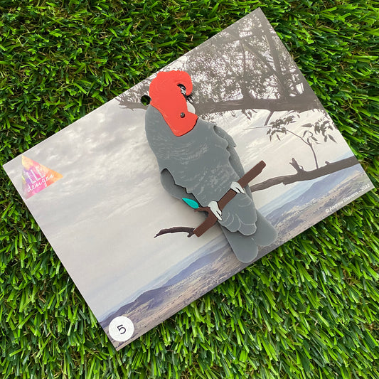 Gang Gang Cockatoo Brooch - Imperfect Sale #5 - Detailed Hand Painted Acrylic Bird Brooch.