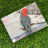 Gang Gang Cockatoo Brooch - Imperfect Sale #4 - Detailed Hand Painted Acrylic Bird Brooch.