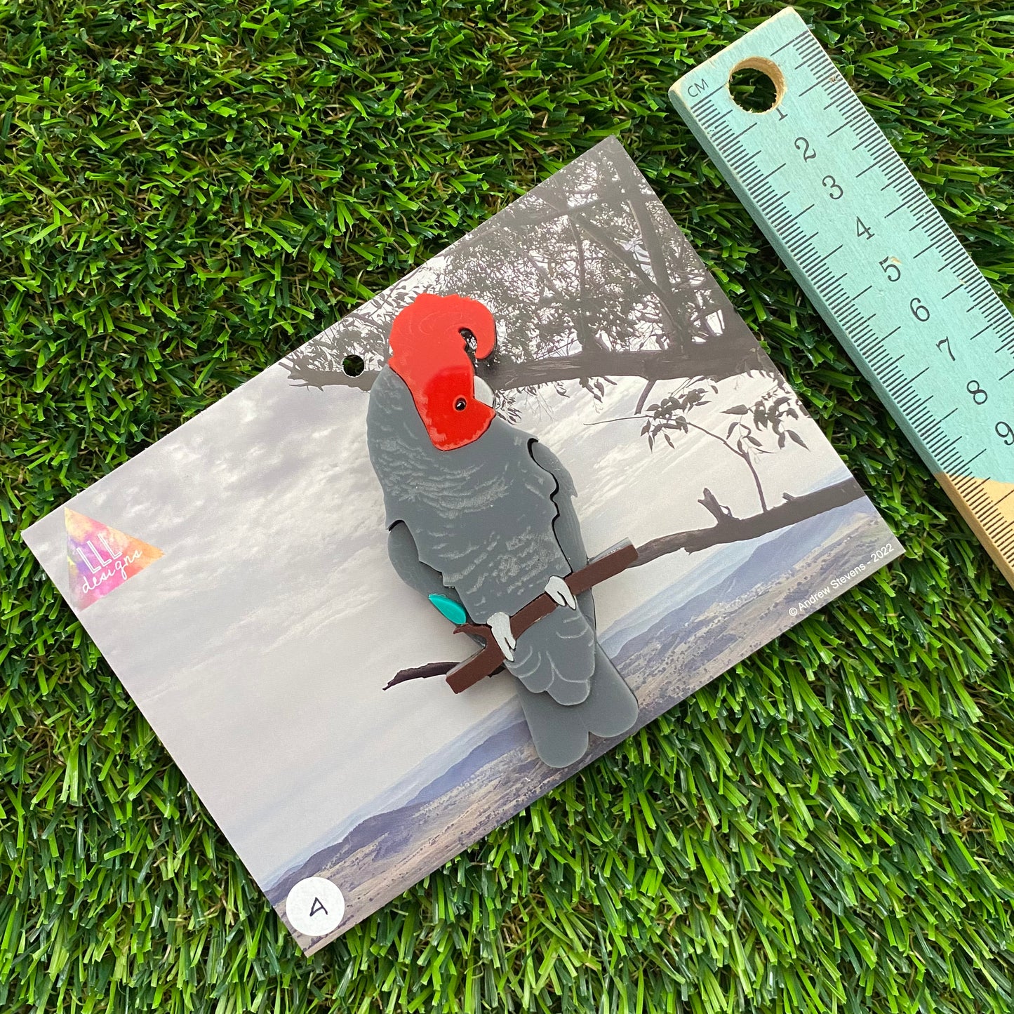 Gang Gang Cockatoo Brooch - Imperfect Sale #4 - Detailed Hand Painted Acrylic Bird Brooch.