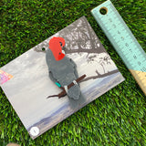 Imperfect Sale #1 Gang Gang Cockatoo Brooch - Detailed Hand Painted Acrylic Bird Brooch.
