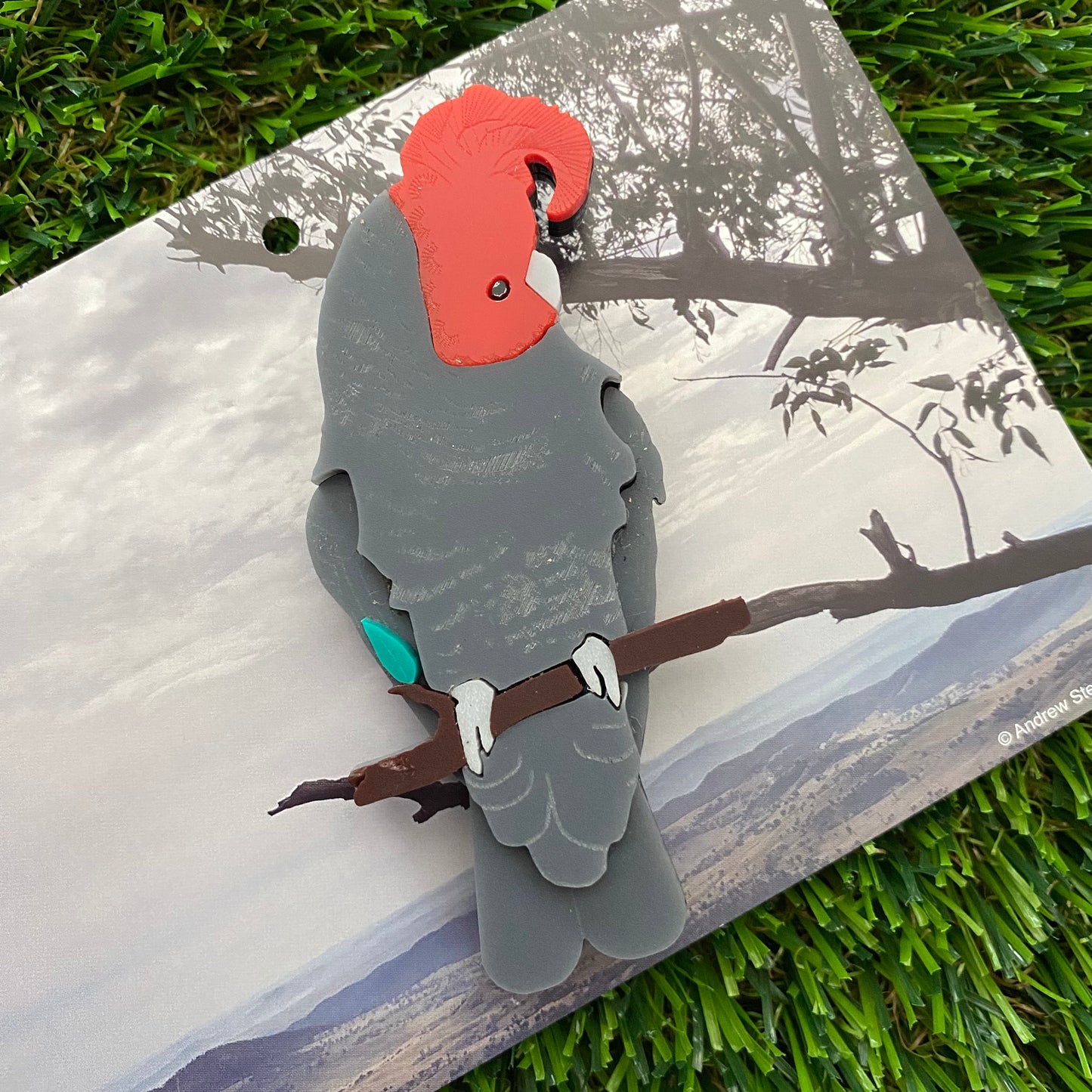 Imperfect Sale #1 Gang Gang Cockatoo Brooch - Detailed Hand Painted Acrylic Bird Brooch.