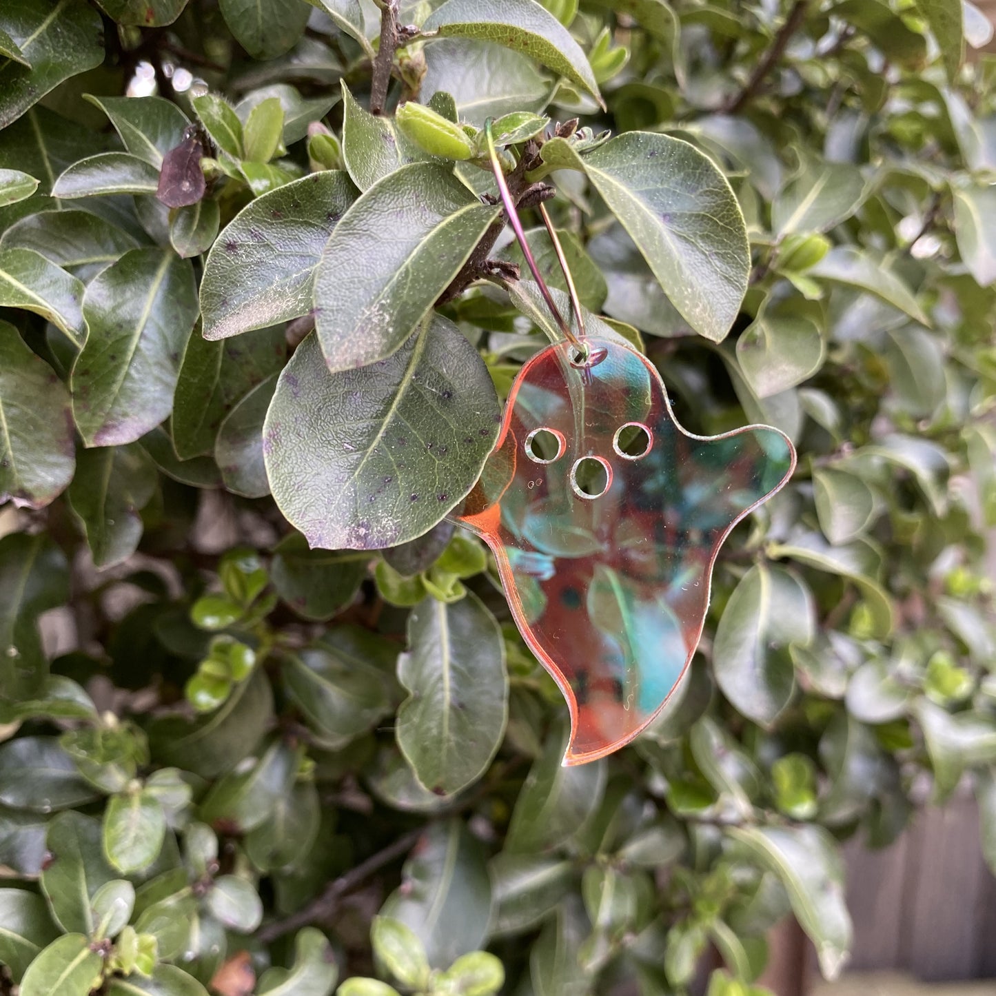 Iridescent Ghost Hoop Earrings - Featuring Rainbow Hoops for Extra Color!