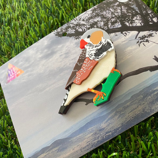 Zebra Finch Brooch - Detailed Hand Painted Acrylic Bird Brooch.