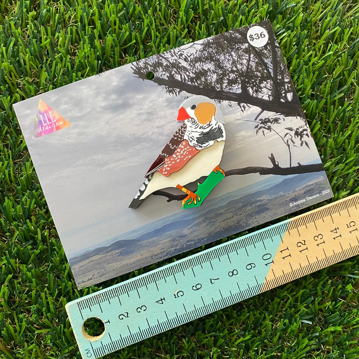 Zebra Finch Brooch - Detailed Hand Painted Acrylic Bird Brooch.