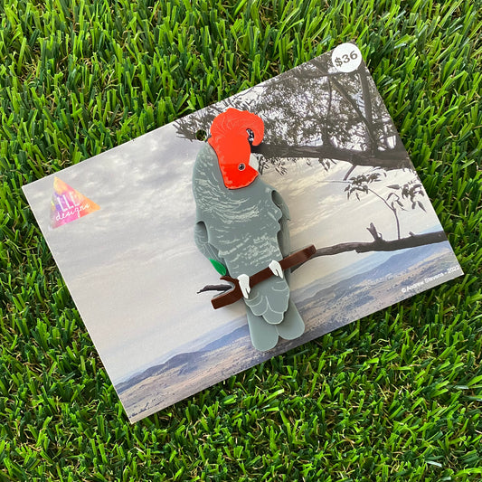 Gang Gang Cockatoo Brooch - Detailed Hand Painted Acrylic Bird Brooch.