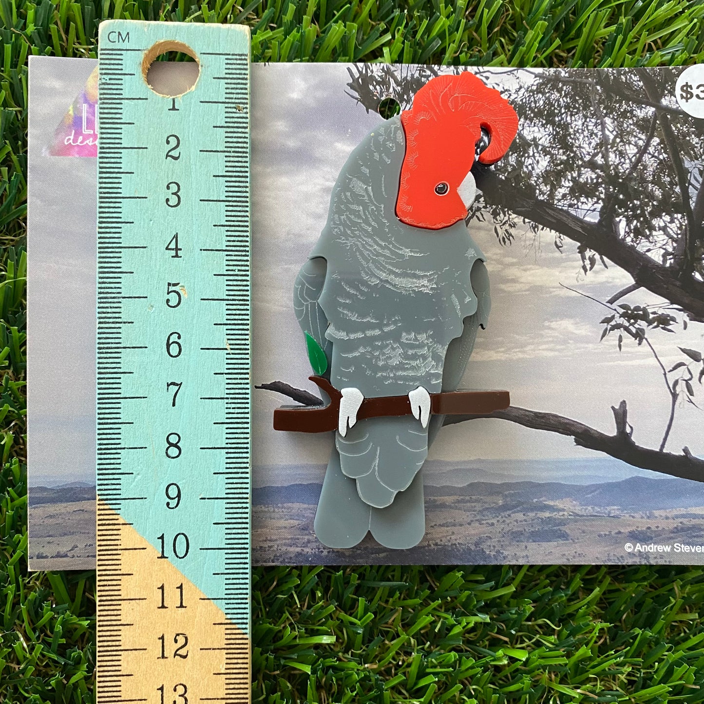 Gang Gang Cockatoo Brooch - Detailed Hand Painted Acrylic Bird Brooch.