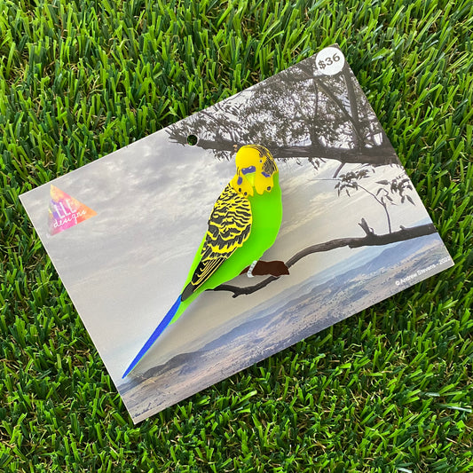 Budgerigar Brooch - Detailed Hand Painted Acrylic Bird Brooch.