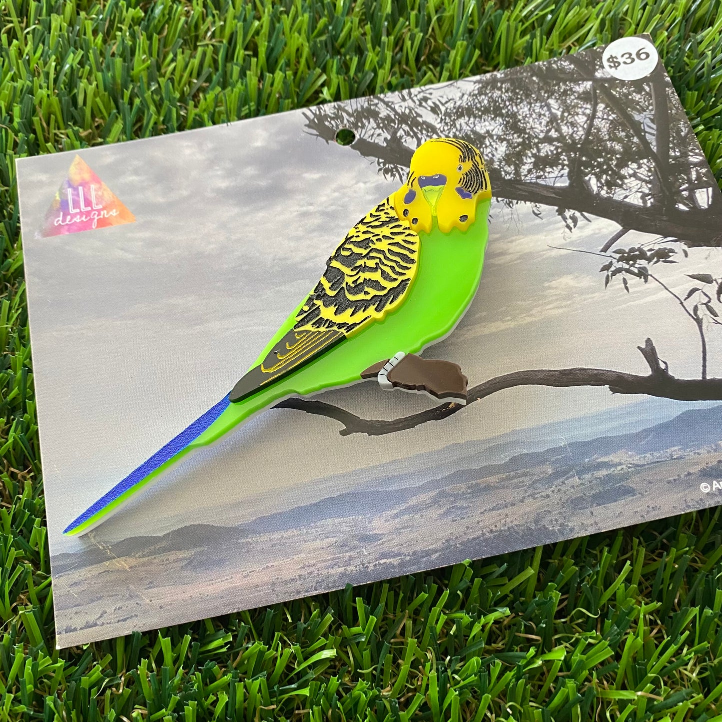 Budgerigar Brooch - Detailed Hand Painted Acrylic Bird Brooch.
