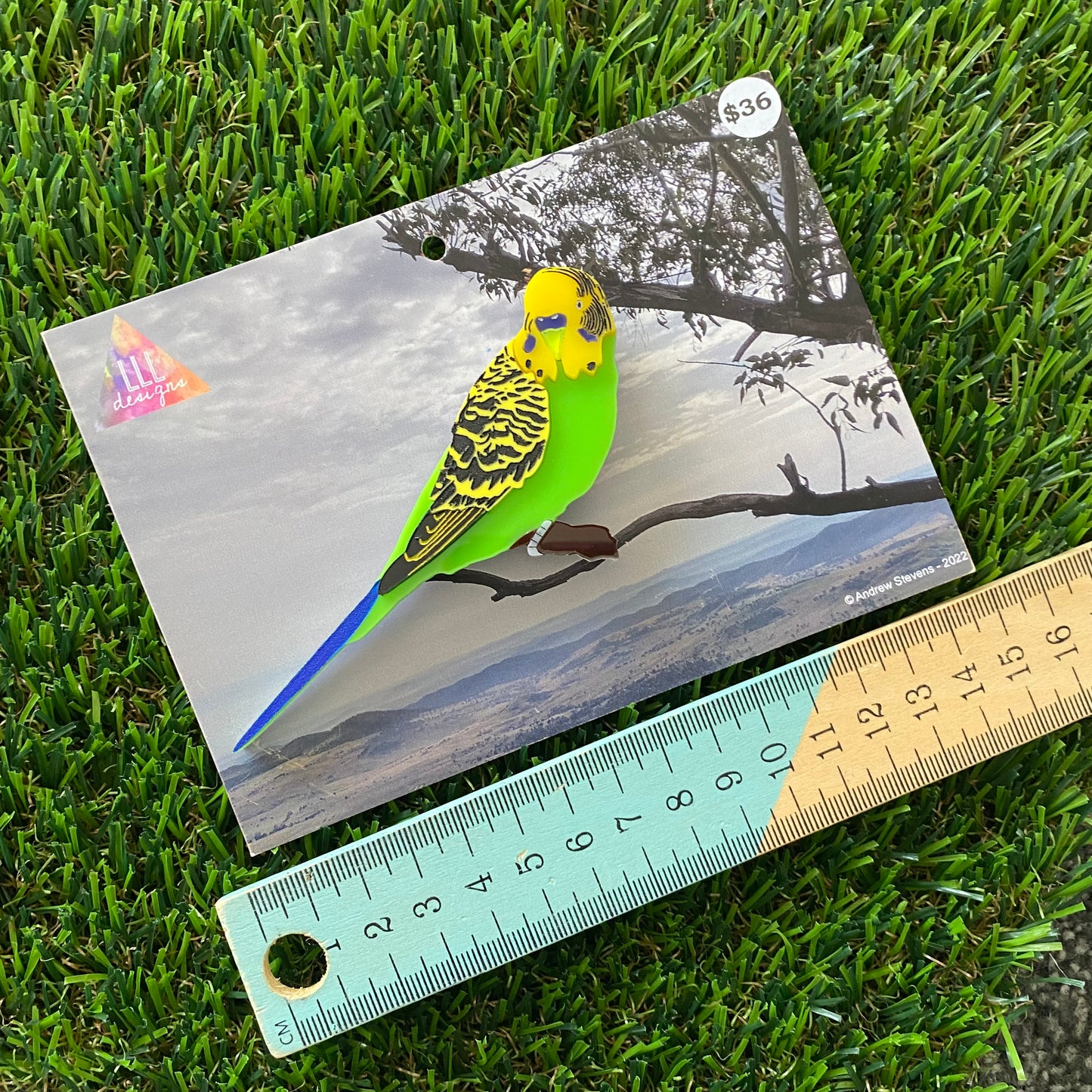 Budgerigar Brooch - Detailed Hand Painted Acrylic Bird Brooch.