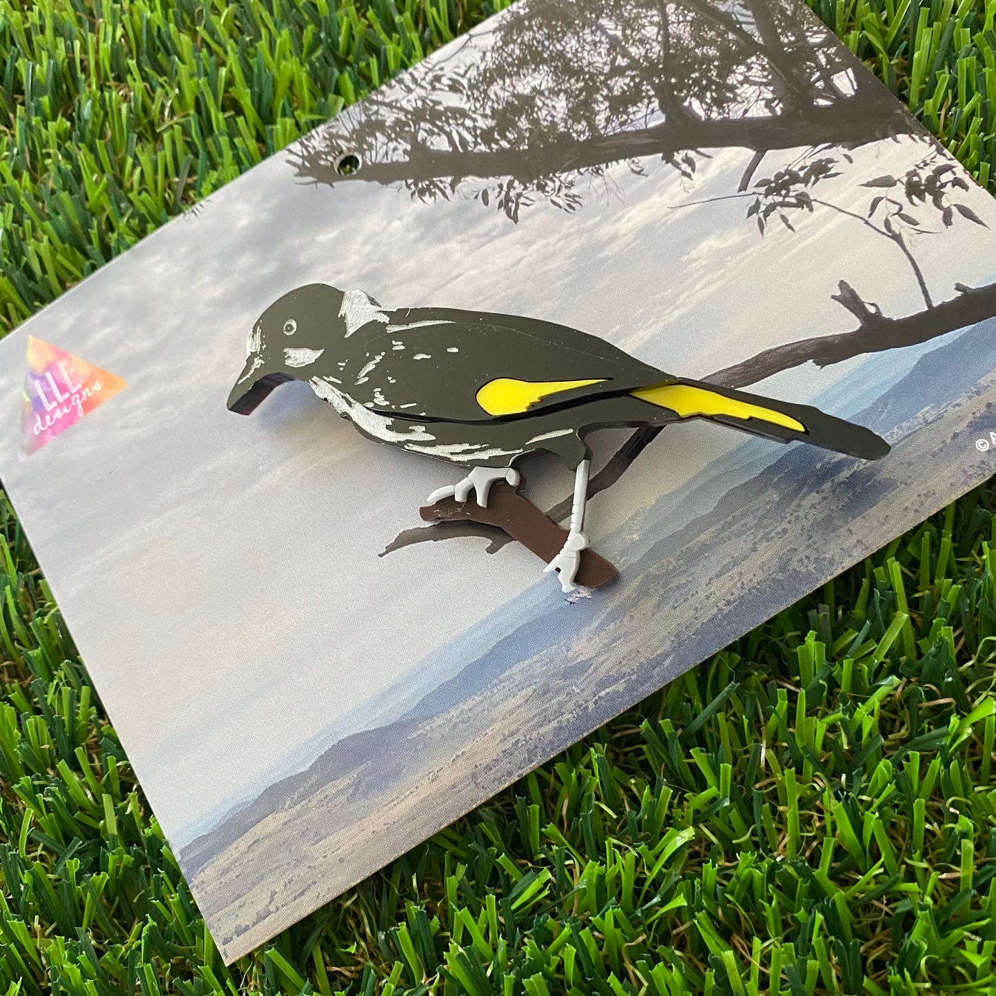 New Holland Honey Eater Brooch - Detailed Hand Painted Acrylic Bird Brooch.