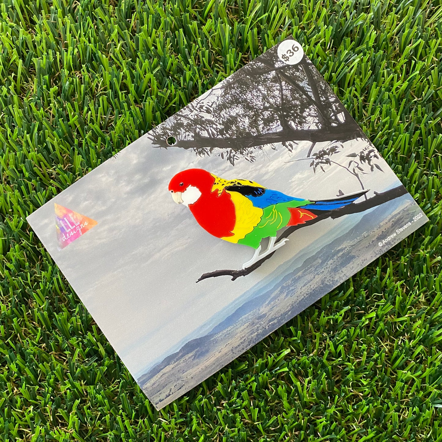 Eastern Rosella Brooch - Detailed Hand Painted Acrylic Bird Brooch.