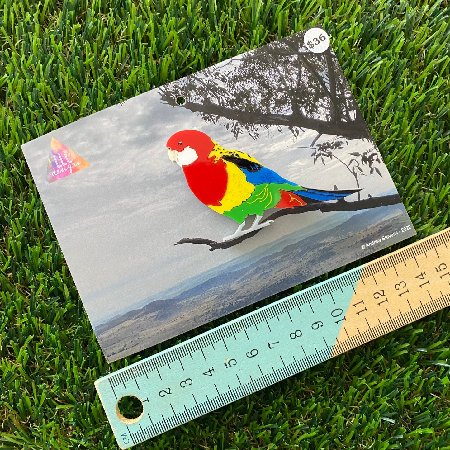 Eastern Rosella Brooch - Detailed Hand Painted Acrylic Bird Brooch.