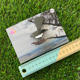 Willie Wagtail Brooch - Detailed Hand Painted Acrylic Bird Brooch.