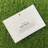 Willie Wagtail Brooch - Detailed Hand Painted Acrylic Bird Brooch.