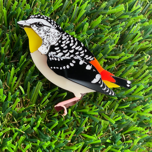 Spotted Pardalote Brooch - Detailed Hand Painted Acrylic Bird Brooch.