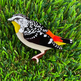 Spotted Pardalote Brooch - Detailed Hand Painted Acrylic Bird Brooch.