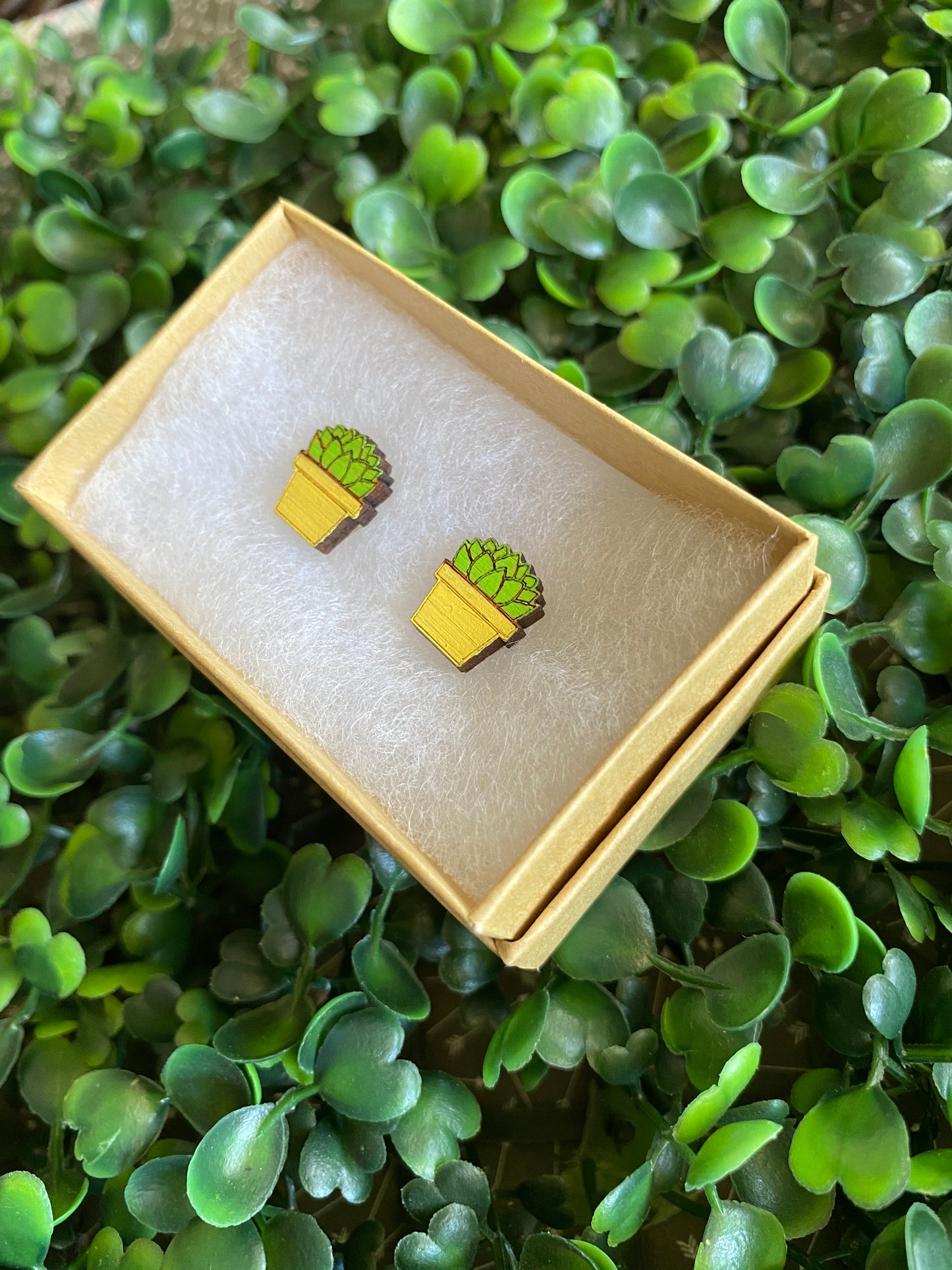 Succulent Earrings - Detailed Hand Painted Bamboo Earrings - Packaged in Recycled Branded Cardboard Gift Box - Available in 3 Stunning Colours.