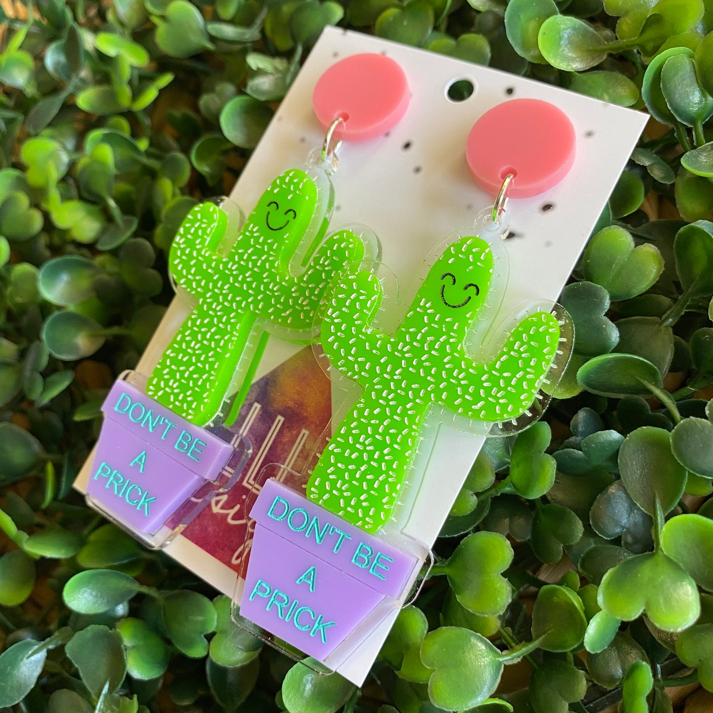 Don't be a Prick Cactus Dangles :) These Cheeky little Guys will Absolutely put a Smile on your dial!