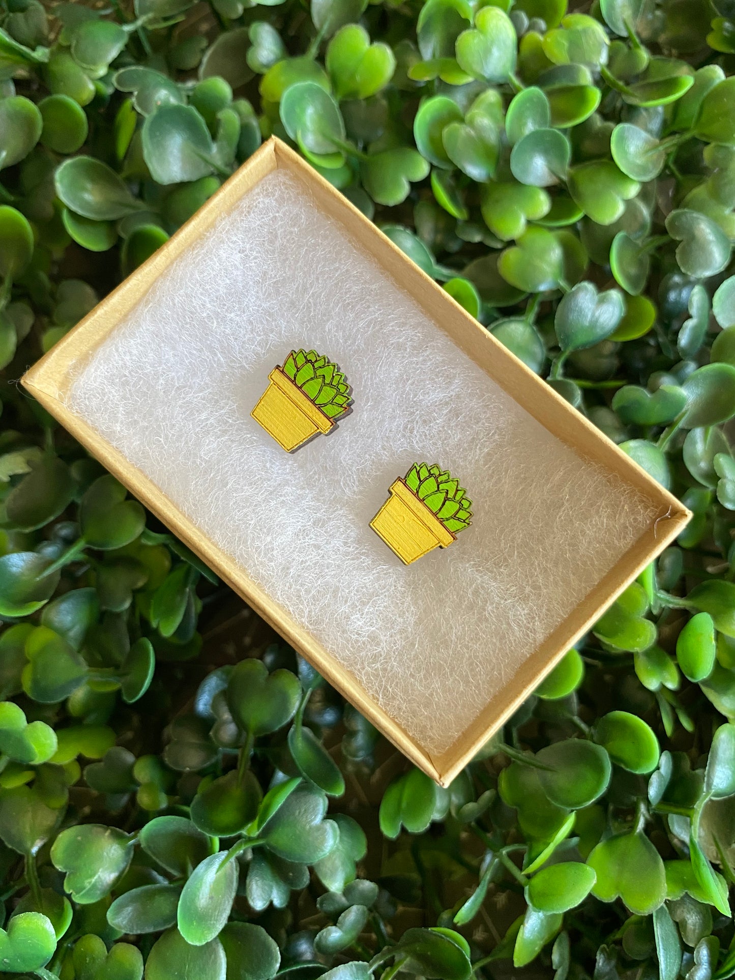 Succulent Earrings - Detailed Hand Painted Bamboo Earrings - Packaged in Recycled Branded Cardboard Gift Box - Available in 3 Stunning Colours.