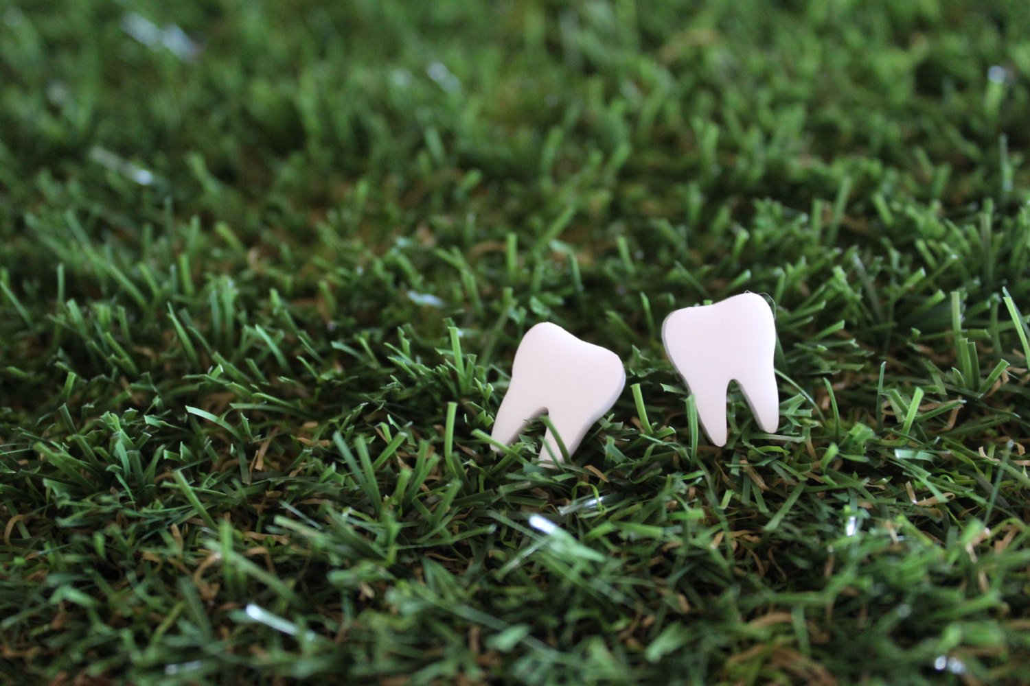Wisdom Teeth Earrings. Quirky Earrings. Fun Earrings. Handmade Stud Earrings. Life's too short to wear boring Jewellery. Live Laugh Love.
